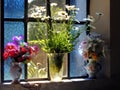 Vintage Flower Vases On Old Window