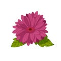 Vintage flower vector illustration. Royalty Free Stock Photo