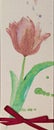 Vintage flower watercolor tulip red ribbon Royalty Free Stock Photo