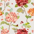 Vintage Flowers - Floral Hortensia Background - Seamless Pattern Royalty Free Stock Photo