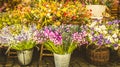 Vintage flowers market on public street - retro cottagecore style