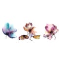 Purple flowers decorrative set. Watercolor flowers set.