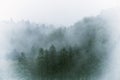 Vintage foggy landscape, forest with clouds Royalty Free Stock Photo