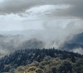 Vintage foggy mountain scenery Smoky Mountains.