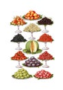 Vintage food fruits clip art set Royalty Free Stock Photo