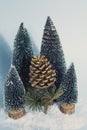 Vintage forest pine cone gold Royalty Free Stock Photo