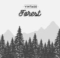 Vintage forest text label on winter tree landscape