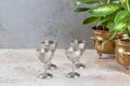 Vintage four silver goblet and green plants