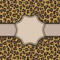 Vintage frame with leopard texture