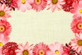 Vintage frame with red flowers collage mix gerbera, chrysanthemum, dahlia, primula, decorative sunflower and old cloth Royalty Free Stock Photo