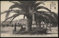 Vintage France postcard Cannes