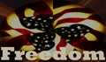 Freedom banner with United States American flag background