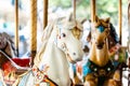 Vintage french carousel horse closeup in fair park. Merry-go-round horses in amusement fun park for children. Royalty Free Stock Photo