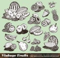 Vintage Fruits Collection