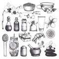 Vintage fset of hand drawn SPA and Beauty illustrations. Cosmetics and aromatic ingredients collection. Vector healthy life eleme