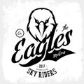 Vintage furious eagle bikers gang club vector logo concept isolated on white background.