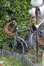 Vintage garden bicycle