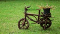 Vintage garden bicycle