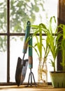 Vintage Garden Still Life