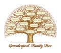 Vintage Genealogical Family Tree. Hand-drawn sketch vector illustration