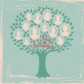 Vintage genealogy tree. Genealogical family tree vector illustration Royalty Free Stock Photo