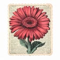 Vintage Red Gerber Daisy Floral Stamp With Victorian-inspired Illustrations