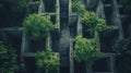 Vintage gloomy abandoned maze with old concrete walls, grungy surreal building, dark labyrinth with trees and plants. Concept of