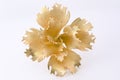 Vintage Gold Broach with clipping path Royalty Free Stock Photo