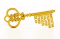 Vintage gold key with business and success related words. 3D illustration