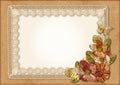 Vintage gorgeous background with lace-frame Royalty Free Stock Photo
