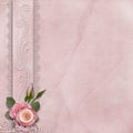 Vintage gorgeous background with lace, roses, pearls Royalty Free Stock Photo