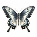 Vintage Gothic Butterfly Illustration: Black And White Swallowtail With White Eyed Wings