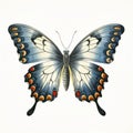 Vintage Gothic Butterfly Illustration In Dark Silver And Light Indigo Royalty Free Stock Photo
