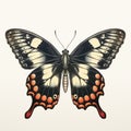 Vintage Gothic Butterfly Illustration - Download Vector