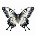 Vintage Gothic Butterfly Illustration: Tran Nguyen Style Black And White Wings Royalty Free Stock Photo