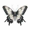 Vintage Gothic Butterfly Illustration On White Background Royalty Free Stock Photo