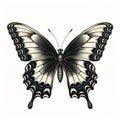 Vintage Gothic Butterfly Illustration On White Background Royalty Free Stock Photo