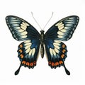 Vintage Gothic Butterfly Illustration On White Background Royalty Free Stock Photo