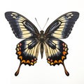 Vintage Gothic Butterfly Illustration On White Background Royalty Free Stock Photo