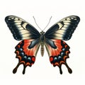 Vintage Gothic Butterfly Illustration On White Background Royalty Free Stock Photo