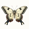 Vintage Gothic Butterfly Illustration On White Background Royalty Free Stock Photo