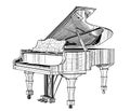 Vintage grand piano hand drawn sketch