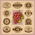 Vintage grapes stamps set Royalty Free Stock Photo