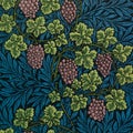 Vintage grapes and vines pattern vector