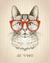 Vintage graphic poster with hipster cat with red glasses.