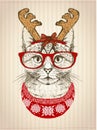 Vintage graphic poster with hipster cat with red glasses, dressed in deer horns hat and red knitted sweater Royalty Free Stock Photo