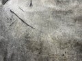 Vintage gray leather texture with scraches Royalty Free Stock Photo