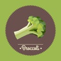 Vintage green broccoli illustration