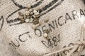 Organic Green Coffee Beans, Old Rustic Jute Bag, Cord, Wooden Table, Raw Grains, Craftsmanship, Exportation, Harvest