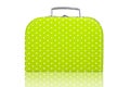 Vintage Green Polka Dot Lunchbox